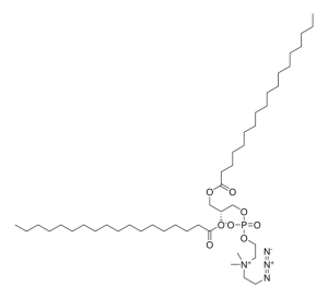 18:0 azidoethyl PC 