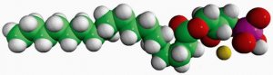 18:0 Lyso PA 857128P-25MG