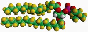 18:0 PC-d83 860368P-10MG