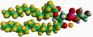 18:0 PG-d70 860383P-10MG