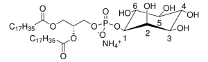 18:0 PI 