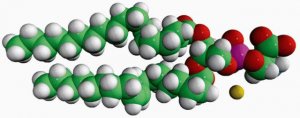 18:0-18:1 PS 840039C-10MG