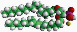 18:0-18:2 PA 840862C-25MG