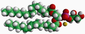 18:0-18:2 PG 840504P-25MG