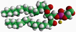 18:0-18:2 PS 840063C-10MG