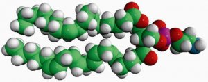 18:0-20:4 PE 850804C-25MG