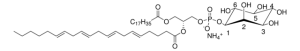 18:0-20:4 PI 