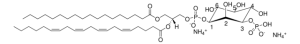 18:0-20:4 PI(3)P 850189P-500UG