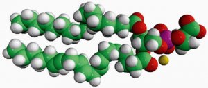 18:0-20:4 PS 840064C-25MG