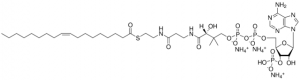 18:1 (n9) Coenzyme A 870719P-5MG