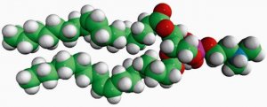 18:1 Dimethyl PE 850852C-25MG