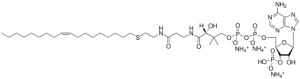 18:1 ether Coenzyme A 870741P-5MG