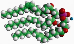 18:1 Hemi BMP (S,R) 857134P-5MG
