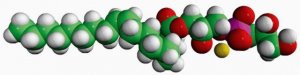 18:1 Lyso PG 858125C-500MG