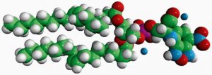18:1 NBD PS 810198C-1MG