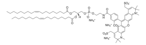 18:1 PE-TopFluor AF594 
