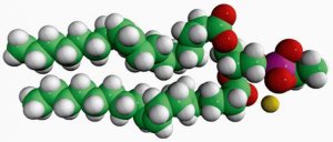 18:1 Phosphatidylethanol 840513P-25MG