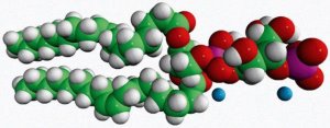 18:1 PI(3)P 