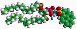18:1 Pyrene PE 810331C-1MG