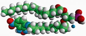 18:1-12:0 NBD PA 810176P-1MG