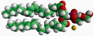 18:2 PG 840485P-25MG