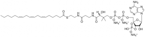 18:3 (n6) Coenzyme A 870733P-5MG