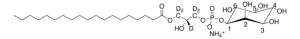 19:0 LYSO PI-d5 850106L-500UG