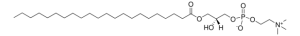 22:0 Lyso PC 855779P-25MG
