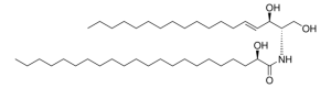 22:0(2R-OH) Ceramide 860821P-5MG