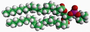 23:0 PC 850372C-25MG