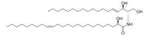 24:1(2R-OH) Ceramide 860825P-5MG
