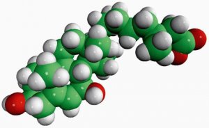 3,7-dihydroxy-5-cholestenoic acid 700029P-1MG