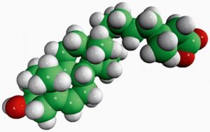 3,7-dihydroxy-5-cholestenoic acid 700028P-1MG