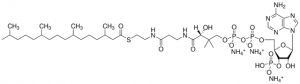 4ME 16:0 Coenzyme A 870742P-5MG