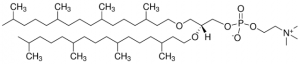 4ME 16:0 Diether PC 999984C-10MG