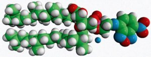 4ME 16:0 NBD PE (NBD-DPhPE) 810142C-1MG
