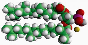 4ME 16:0 PA 850406P-25MG