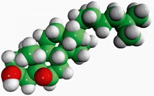 5,6-epoxycholestanol 700033P-5MG