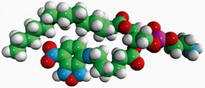 Acyl 06:0 NBD PE 810134P-1MG