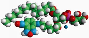 Acyl 06:0 NBD PG 810136P-1MG