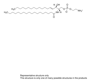 Brain CPE 