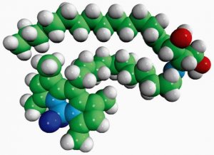 C11 TopFluor� Ceramide 810262P-250UG