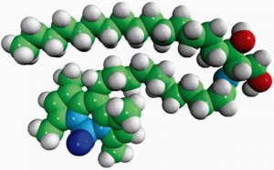 C11 TopFluor� Dihydroceramide 810263P-250UG