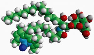 C11 TopFluor� Galactosyl Ceramide 810266P-250UG
