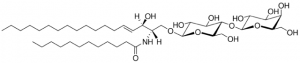 C12 Lactosyl() Ceramide (d18:1/12:0) 