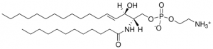 C12 Sphingosyl PE (d17:1/12:0) 860529P-5MG