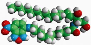 C12-NBD Ceramide 810211C-1MG