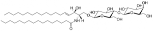 C16 Lactosyl() Ceramide (d18:1/16:0) 860576P-5MG
