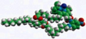 C16/C11-TF/C12-DNP TG 810257P-1MG