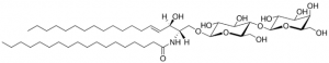 C18 Lactosyl() Ceramide (d18:1/18:0) 